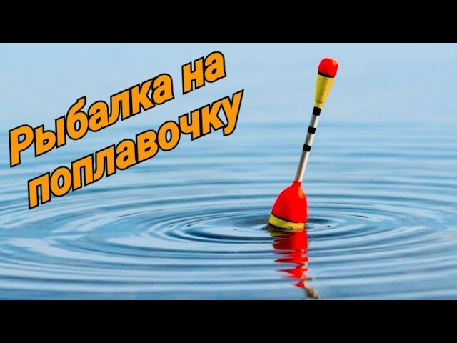Рыбалка на поплавок! Что лучше донка или джиг_ Рыбалка на донку! Рыбалка 2021!