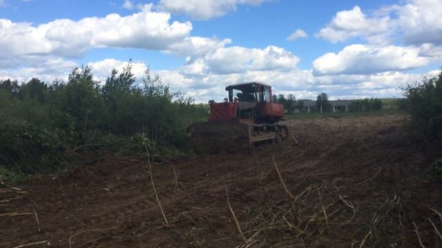 Бульдозер ТД-75 расчищает территорию от мелкого кустарника в Калуге