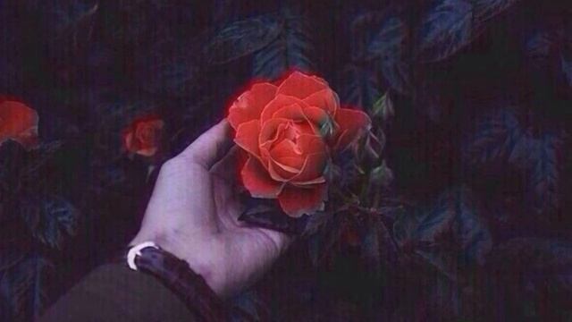 Jakomo & Tatar - Сорви Розу ?❤