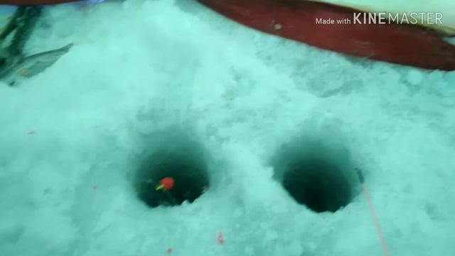 Сахалинская зимняя рыбалка на гольца.