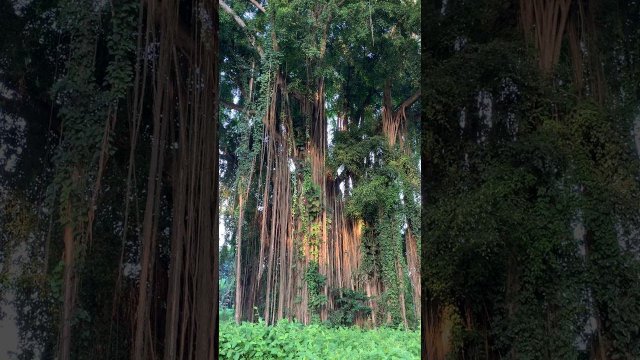 Медитация Бесконечность Бытия