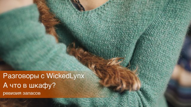 Разговоры с WickedLynx. А что в шкафу? Ревизия запасов.