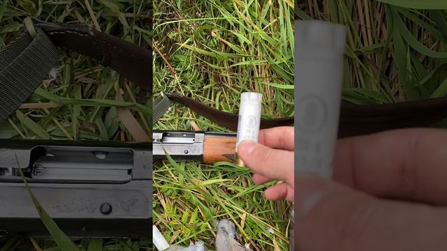 Дедушкино ружье МЦ 21-12 на охоте. Когда не в цене оружия дело :) Патроны спортинг.