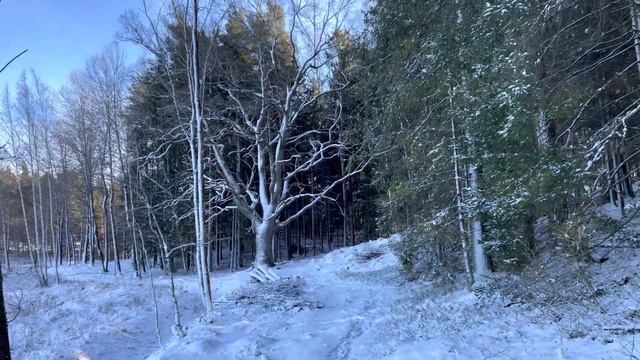 Первый месяц зимы - декабрь 2022 - 2023 Сказочная природа