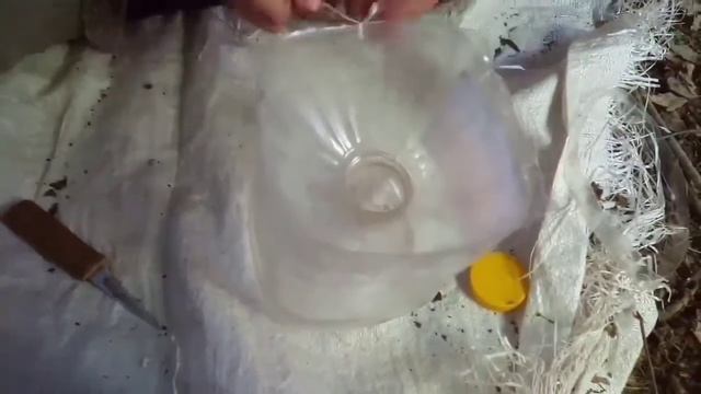 Как зделать мордушку из пластиковой бутылки для ловли рыбы.