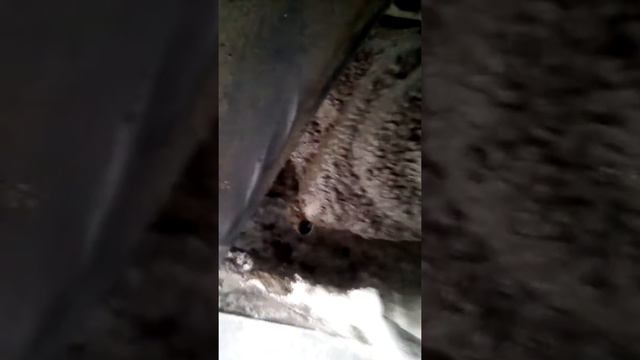 Лада калина .не включается задняя скорость