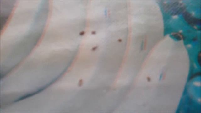 Сажалка для семян моркови