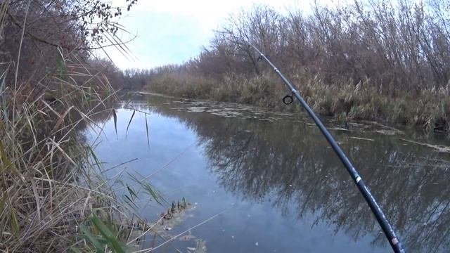 DAYO saver Бюджетный спиннинг для ТВИЧИНГА  | Илюха Ловит.