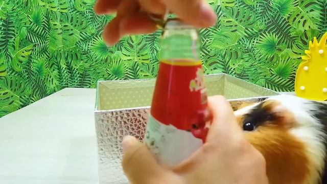 Красная VS Желтая Еда Челлендж | Еда Одного Цвета | Попробуем еду с Бузей и Кузей