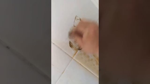Как отчистить плитку от ржавчины