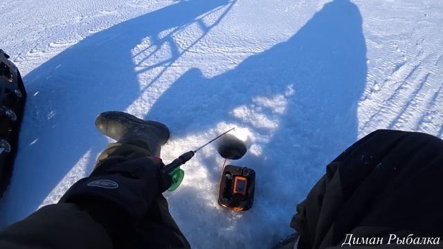 РЫБАЛКА НА СУДАКА ЗИМОЙ 2024! СУДАК В КАЖДОЙ ЛУНКЕ! БЛЕСНА ПРИНЕСЛА ТРОФЕЙ!ВОДОХРАНИЛИЩЕ #судак