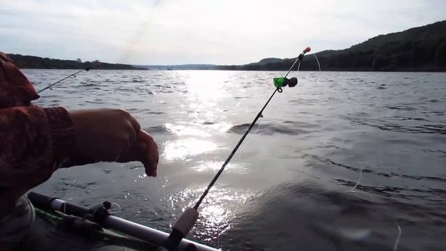 РЫБАЛКА С ЛОДКИ НА КОЛЬЦО, ЯЙЦА И БОРТОВУЮ УДОЧКУ