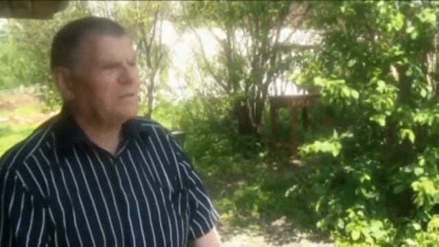 Свердловские высоколетные голуби! Екатеринбург 2015г. май г.Первоуральск