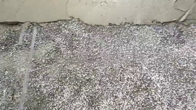 Полистиролбетонная стяжка пола. Готовая заводская смесь. Прочность, скорость заливки, стоимость.