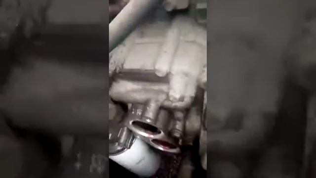 замена термостата на газон некст.