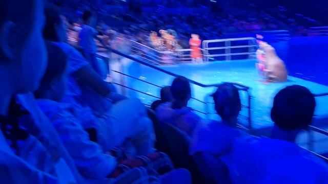 Обзор: Москвариум Шоу - Сон в Летнюю ночь. Цены. Парковка