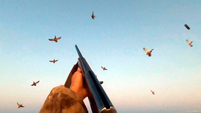 Утки налетали сотнями!!! Охота на поле с махокрылом.