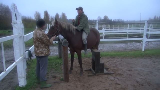 Как заездить лошадь. День первый.