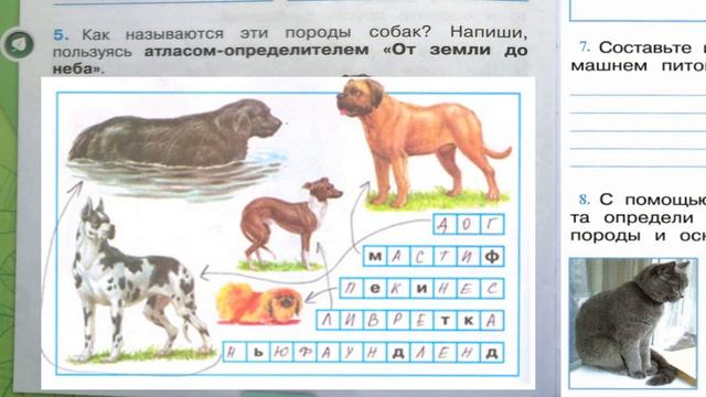Окружающий мир. Рабочая тетрадь 2 класс 1 часть. ГДЗ стр. 58 №5