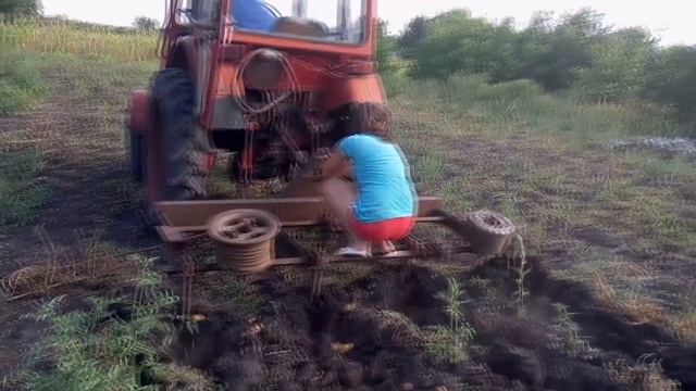 картофелекопалка и трактор Т-25