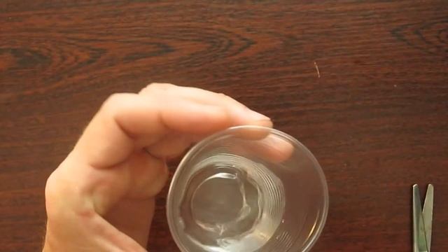 Как Быстро и Легко Укоренить Черенок Лимона