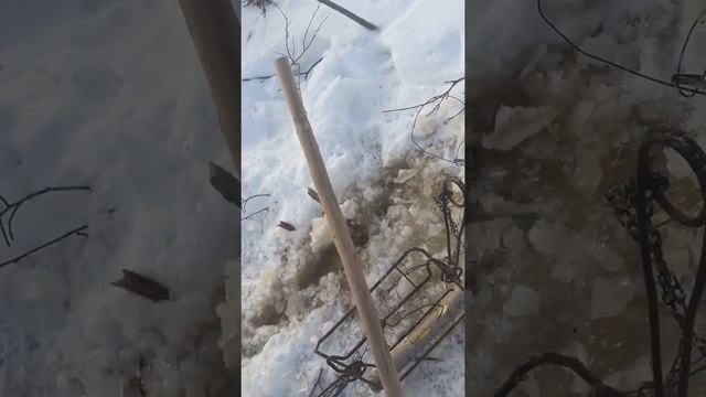 установка и проверка петель на бобра есть результат