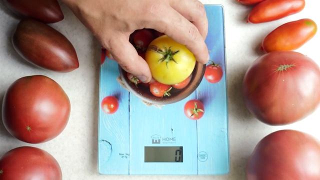 Томат Сладкая Сью. Отличный сорт из проекта "Томатный гном"!