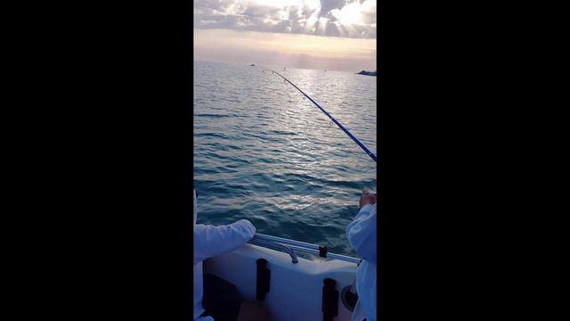 Рыбалка на закате