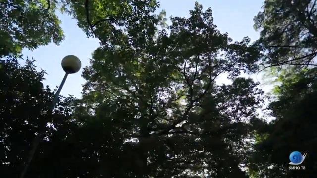 Дневники «Кинотавра» — День 6