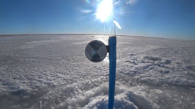 Поставил МОЙВУ ВМЕСТО ЖИВЦА И АФИГЕЛ! Крупная ЩУКА на жерлицы! Рыбалка 2021