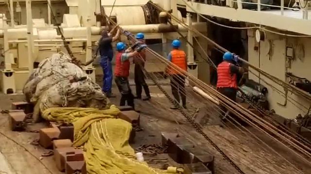 Выборка трала (Николай Теленко) Моонзунд 2018 г.