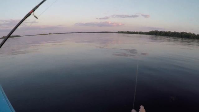 ЛОВЛЯ СОМА НА КВОК!!! Две поклевки и Сом за пол часа. Новый квок! Ловля сома на Волге.