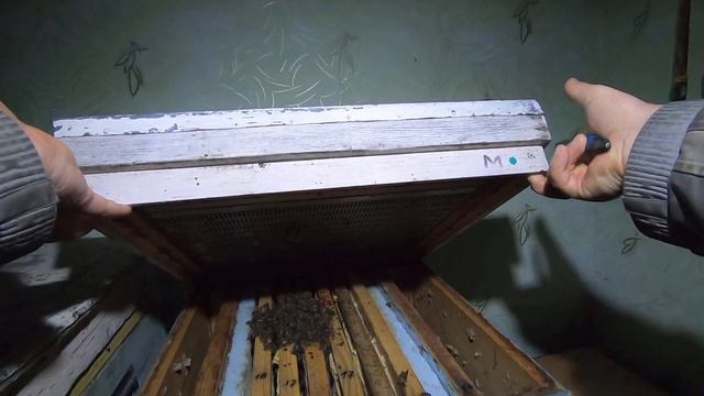 ЗИМОВКА ПЧЁЛ, ОБЗОР ЗИМОВНИКА! ЭКСТРЕМАЛЬНО ТЁПЛАЯ ЗИМА! КАК ЗИМУЮТ В ПОМЕЩЕНИИ НАШИ ПЧЁЛЫ...?🐝