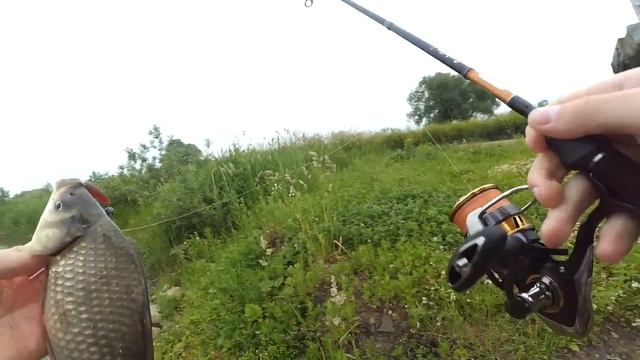 Карась на микроджиг_ Легко.Crazy Fish в деле 29.06.2019