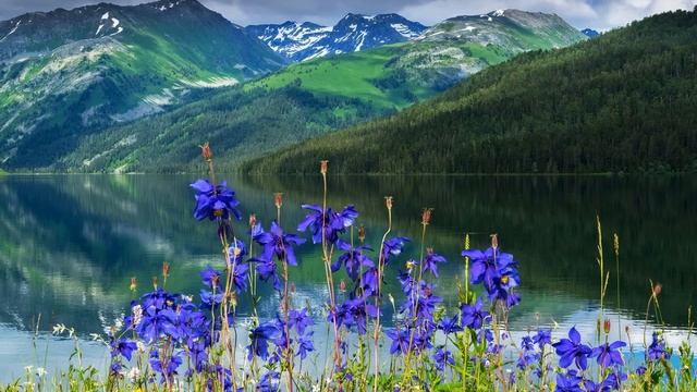 Истории из жизни Свекровь хочет, чтобы мы отдали квартиру золовке Жизненные истории рассказы