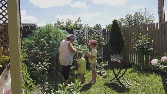 6 соток 29 июня 2024 года Хроника