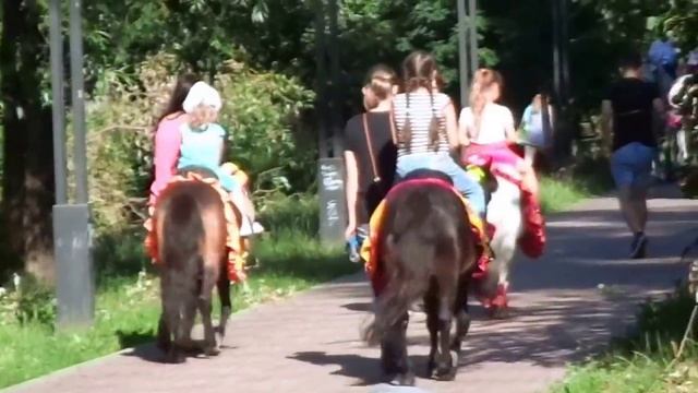 CHILDREN'S WALK ON HORSES / ДЕТИ КАТАЮТСЯ НА ЛОШАДЯХ