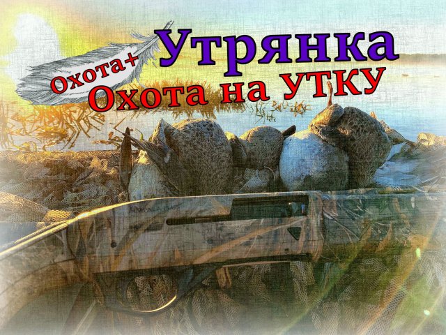 Охота на утку Утрянка, Ружьё Импала Плюс Impala Plus #охота #impala #impalaplus #утро #Охота+ #утки