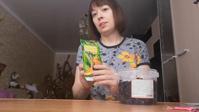 СТРЕЛИЦИЯ КОРОЛЕВСКАЯ. САЖАЕМ СЕМЕНАМИ ВОЗЛЕ БАТАРЕИ) . Интересно.