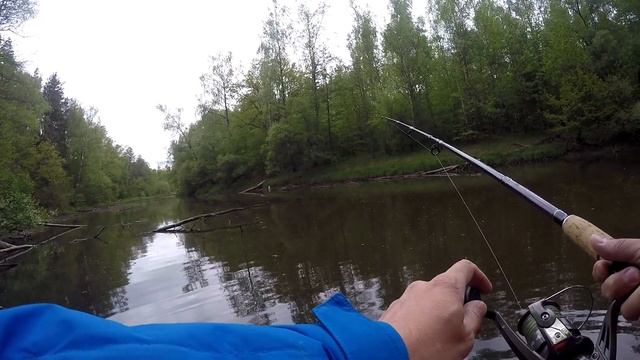 Щука на живца. Ловля щуки на поплавок