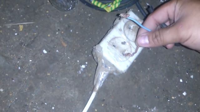 КАК ОПРЕДЕЛИТЬ ГДЕ ФАЗА БЕЗ ИНДИКАТОРА.