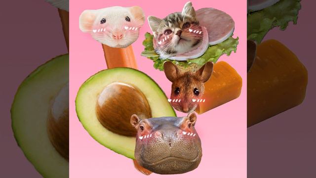 мышка сосиска