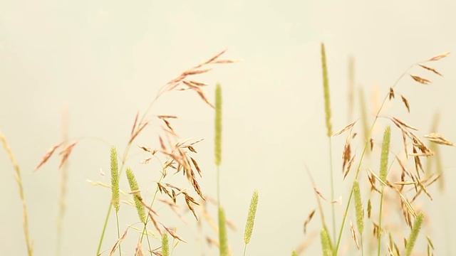 Уловистый флэт метод фидер на карповой рыбалке.