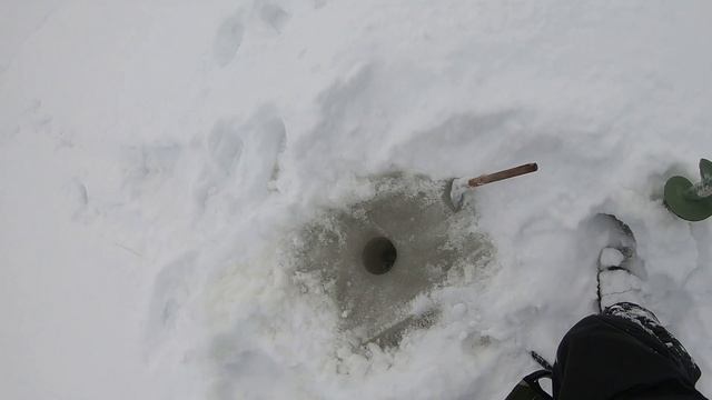 20км на мини снегоходе Хаски/ВСЕ ЛОМАЕТСЯ