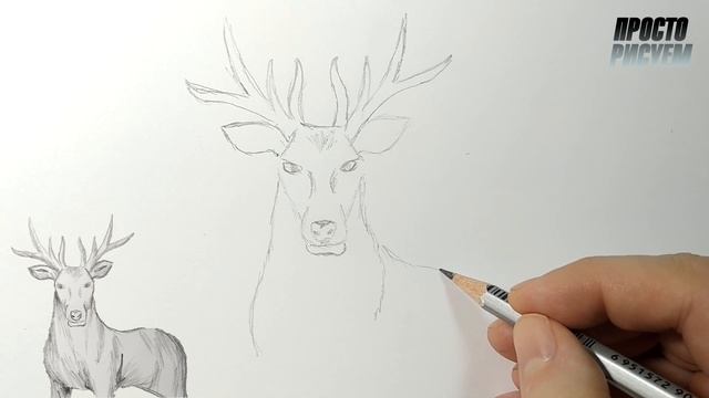 Как нарисовать ОЛЕНЯ карандашом, Просто рисуем