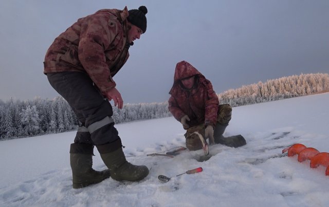 Живём с Батей в Тайге.На Озеро Приходили Волки.Ловим Рыбу на Самоловки!