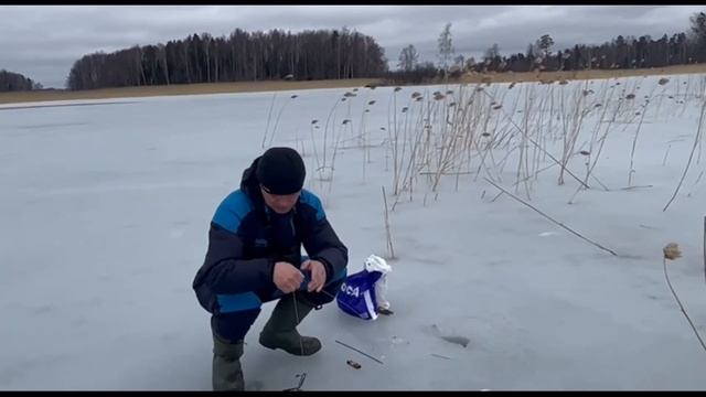 капканы на щуку