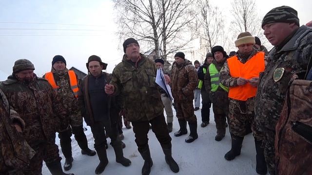 Охота на волков с флажками в  Вышнем Волочке Тверской области