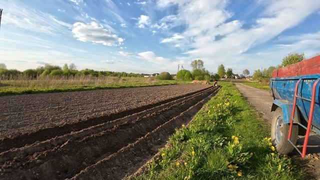❗Сажаем картошку под плуг мотоблока❗