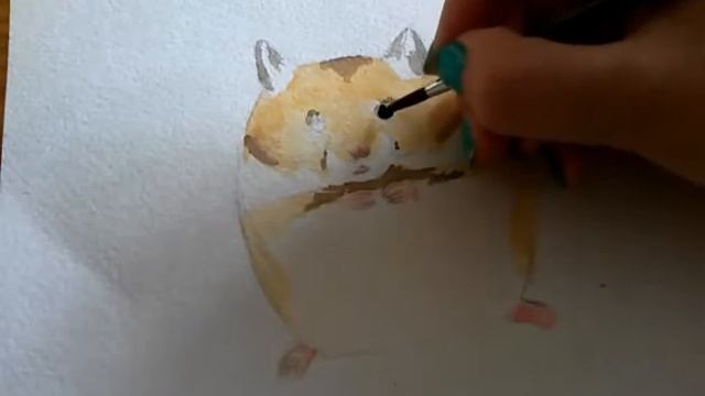 Как нарисовать хомяка акварелью